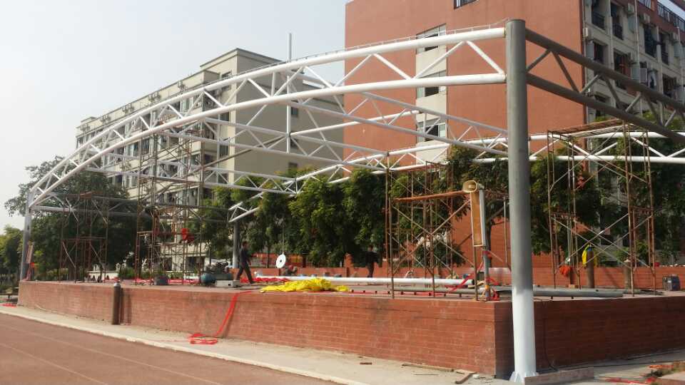 Ĥ�Y�������ĹǼ���Ҫ���B�᣿Խ��Ĥ�Y�����ҁ��f�f