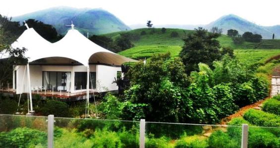 �V�ݎ���Ƶ����a�S�ң���ô�������Ȏ���Ƶ�lչ����